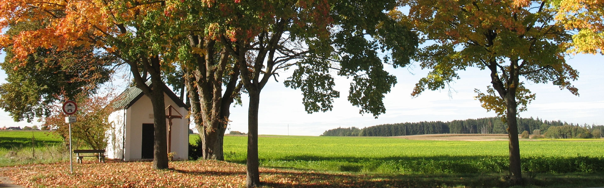 Header Herbstlaub